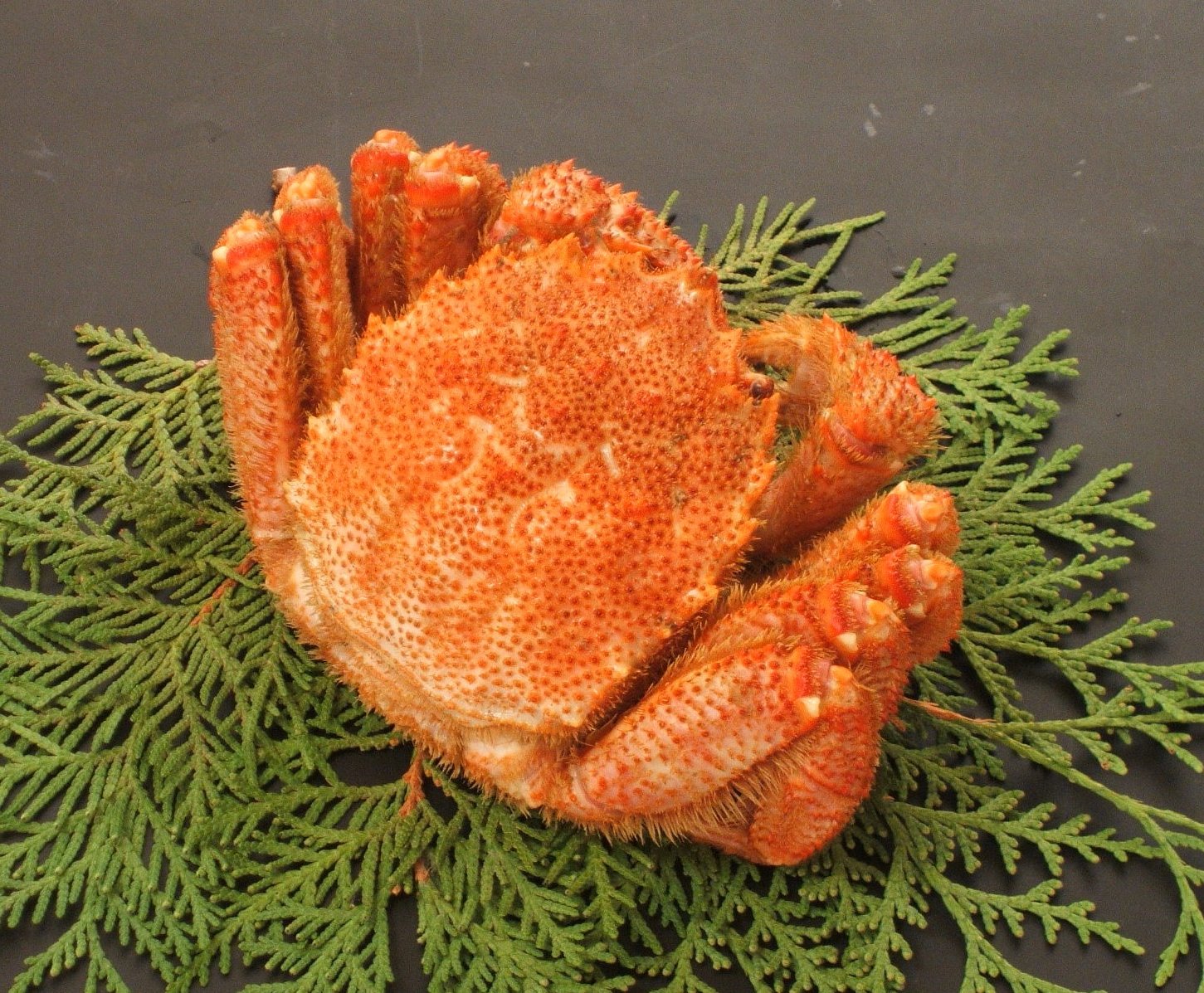 チルドボイル毛蟹 約600g×1尾